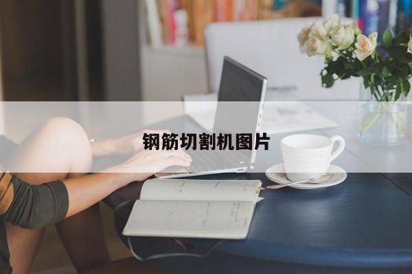 鋼筋切割機(jī)圖片