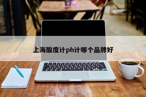 上海酸度計(jì)ph計(jì)哪個(gè)品牌好