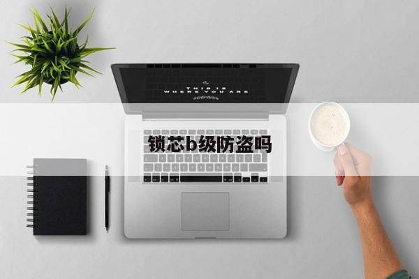 鎖芯b級防盜嗎