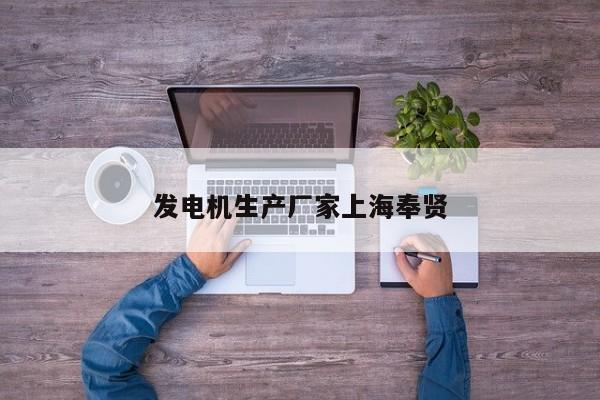發(fā)電機(jī)生產(chǎn)廠家上海奉賢