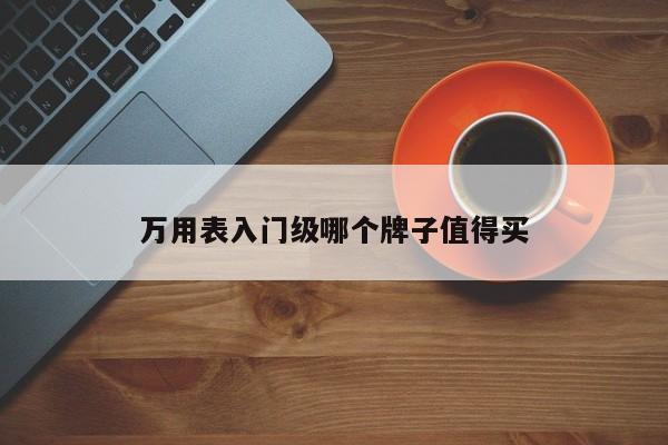 萬用表入門級(jí)哪個(gè)牌子值得買