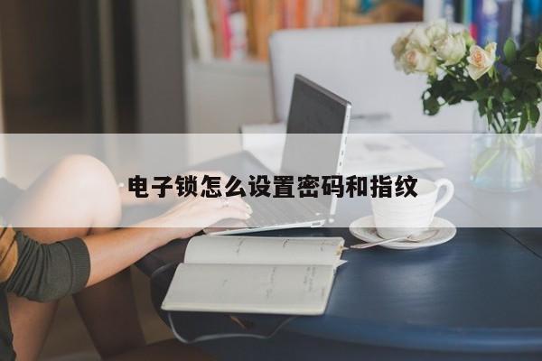 電子鎖怎么設置密碼和指紋