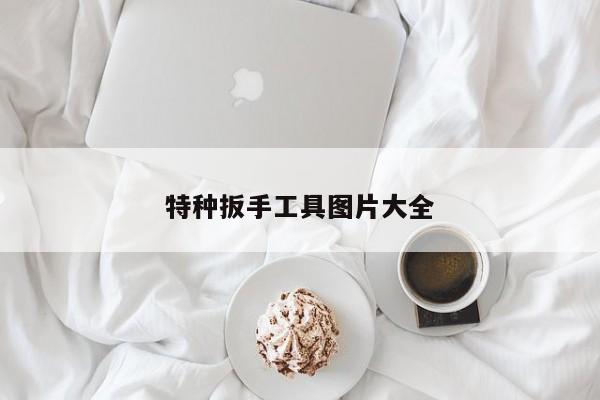 特種扳手工具圖片大全