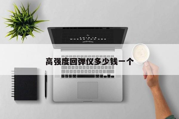高強(qiáng)度回彈儀多少錢一個