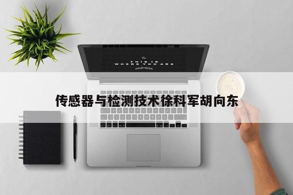 傳感器與檢測技術(shù)徐科軍胡向東